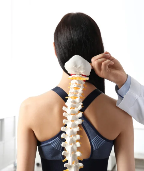 Queen Creek Arizona Chiropractic Posture Correction